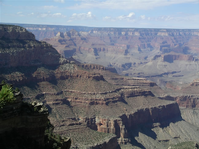 images/D-Navajo Point- Canyon View (17).jpg